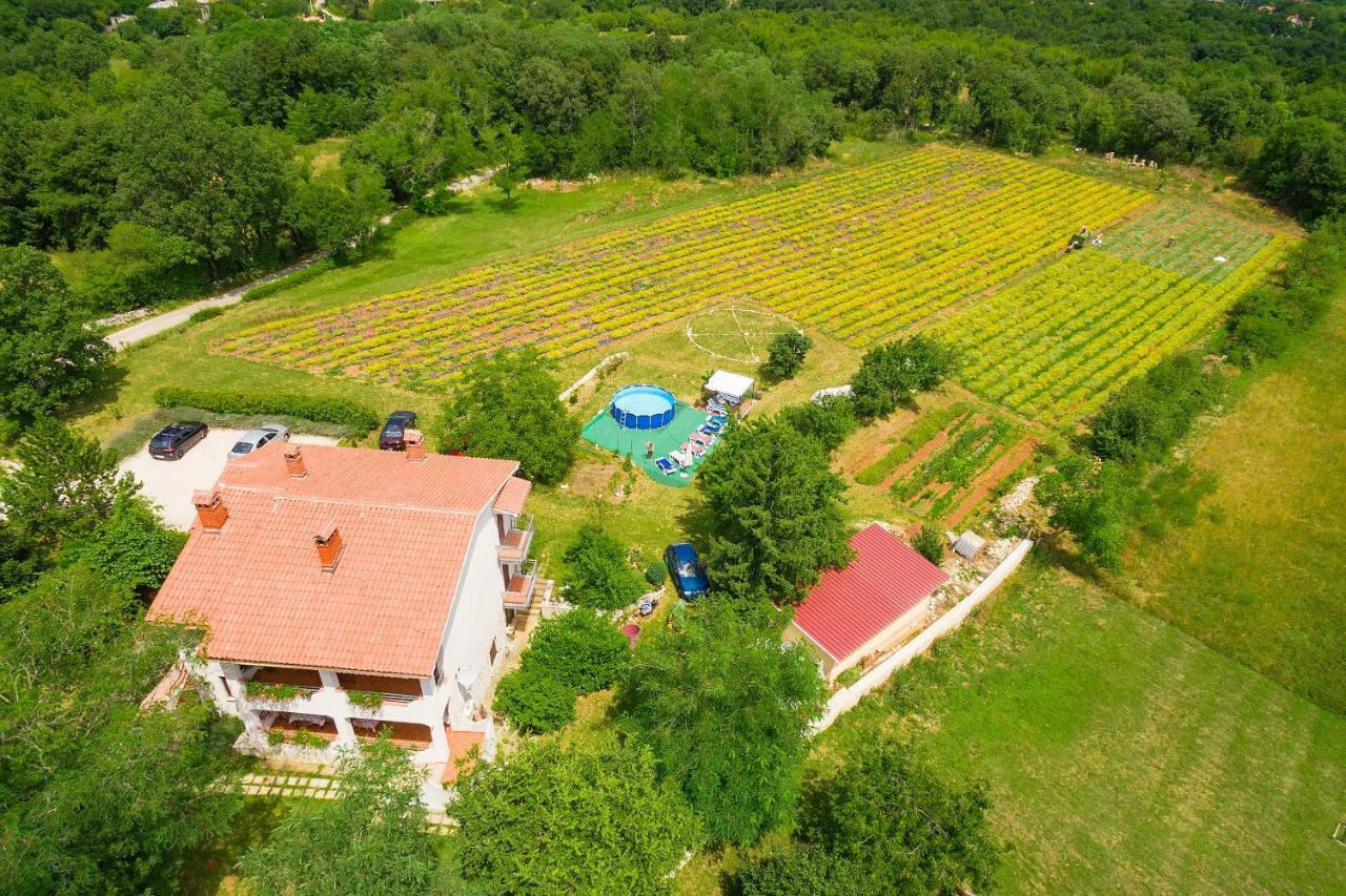 Apartments Valoda Nedescina Exterior photo